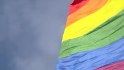 Россия ввела полный запрет на пропаганду ЛГБТК