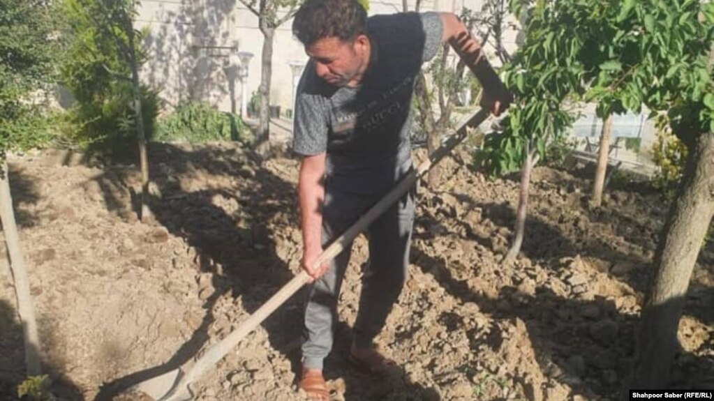 Former organized-crime fighter Abdul Ahad Safi doing manual labor in Iran. Trained Afghan Soldiers 