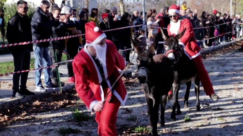 Božićna utrka magaraca u Čapljini: Eustahije odbranio titulu