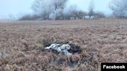 Moldova's Internal Affairs Ministry said in a statement that an on-site investigation turned up about 80 kilograms of explosives in the remains of the rocket, discovered January 14 near Larga, in the Briceni district. 
