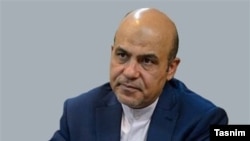 Бывший заместитель министра обороны Ирана генерал Али Реза Акбари.