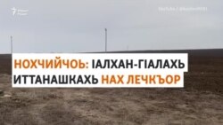 Нохчийчоь: Iедалхошна критика йарна лечкъийна?
