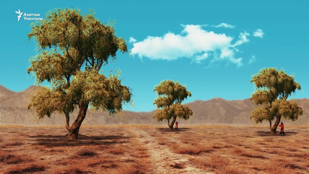 Бөкселер мен баулар Бөкселер мен баулар