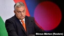 Минулого тижня голова угорського уряду Віктор Орбан вперше поскаржився, що обидва претенденти на вступ до НАТО поширюють те, що він назвав «брехнею» про стан демократії та верховенства права в Угорщині