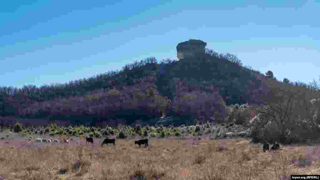 Двоє пастухів зі своєю худобою під скелею Курбан-Кая (Кубишка), висота якої над рівнем моря 379 метрів. Вона складається з вапнякових порід, багатих на фрагменти фауни палеогену