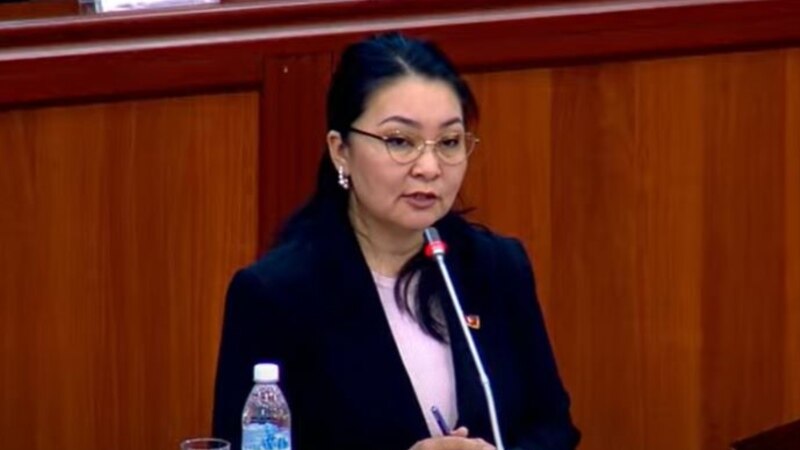 Депутат Кыргызстанда англис тилин күчтөндүрүүгө чакырды  