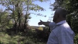 "Kəsmədiyimiz ağaclara görə bizə külli miqdarda cərimə yazıblar"