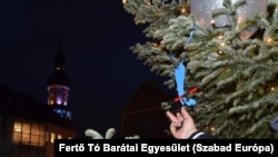 A Fertő Tó Barátai Egyesület Fertő tavat ábrázoló karácsonyfadísze, amelyet Sopron város karácsonyfájára is kitettek, és elküldték a köztársasági elnöknek is