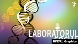 Relația ruși – români în Republica Moldova. Ce nu spunem până la capăt? 