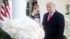 Президентът на САЩ Доналд Тръмп традиционно помилва пуйка в Деня на благодарността, 26 ноември.