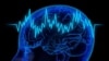 Нейроэкономика: как наш мозг принимает решения?