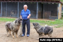 Mujdin Bajra së bashku me qentë e tij të Sharrit.