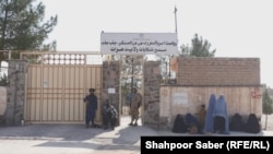 ریاست امر به معروف و نهی از منکر طالبان در هرات