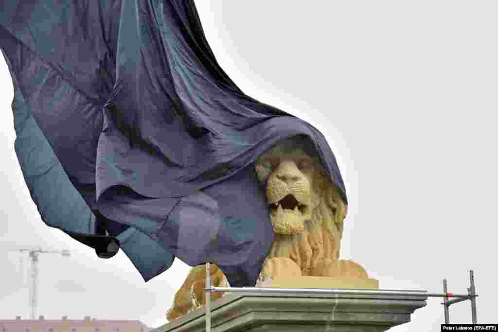A lion statue built from Lego bricks is unveiled at the Pest bridgehead of the landmark Chain Bridge that spans the Danube between Buda and Pest, in Budapest on October 27. The lego lion statue weighs around 3 tons and was completed in 28 days from 850,000 bricks.