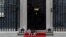 London, UK -- Larry the cat stands on a red carpet outside 10 Downing Street in central London