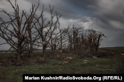 Побита лісопосадка в Донецькій області, де розташовуються військові ЗСУ