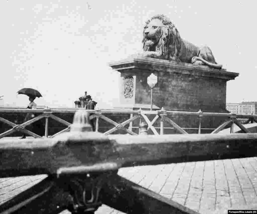 The stone animals have guarded the bridge since 1852, shortly after the elegant span over the Danube was opened. This photo shows one of the lions on a sunny day in 1894.