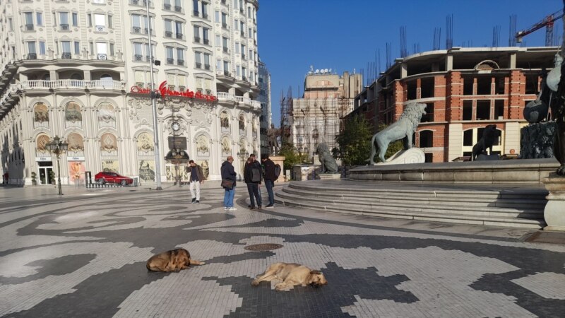 Заробен стационар, заглавен закон - Скопје „врие“ од бездомни кучиња 