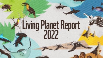 Русия добави Световния фонд за дивата природа WWF към регистъра