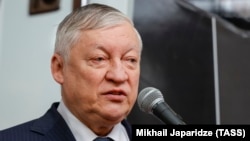 Anatoly Karpov (file photo) 