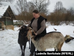 Елена Анатольевна и ее козы