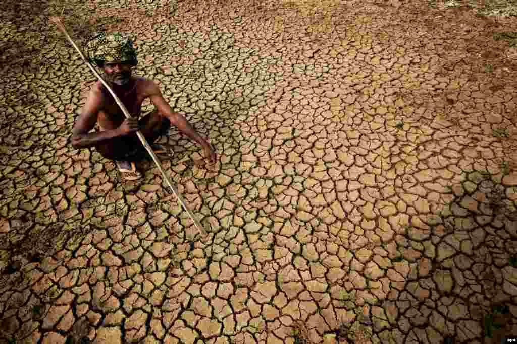 An farmer sits in dried-up land in India, which has been suffering from a heatwave recently. (epa/Jagadeesh NV)