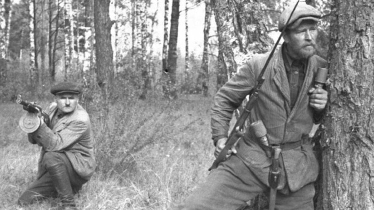 Радянські партизани: міфологеми і реальність