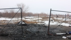 Сгоревшие останки домашних животных. Поселок Круглоозерное, Западно-Казахстанская область. 29 мая 2019 года