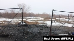 Сгоревшие останки домашних животных. Поселок Круглоозерное, Западно-Казахстанская область. 29 мая 2019 года