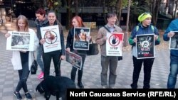 Зооволонтеры в Ставрополе устроили акцию в защиту животных