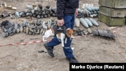 Смертоносные «отходы» войны в Украине: как их утилизируют (фотогалерея)