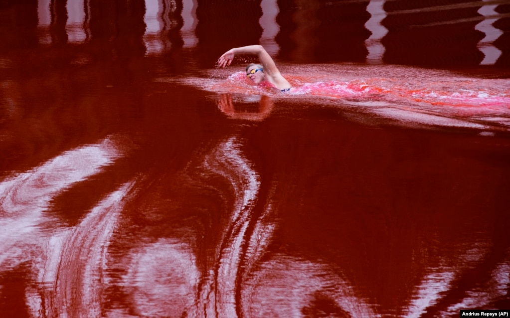 Kampionia olimpike dhe botërore, Ruta Meilutyte, duke notuar në një pellg me ngjyrë të kuqe - që simbolizon gjakun - përpara Ambasadës ruse në Vilnius të Lituanisë.