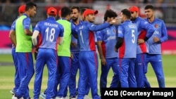 The Afghan cricket team at the T20 World Cup in Australia in October 2022.