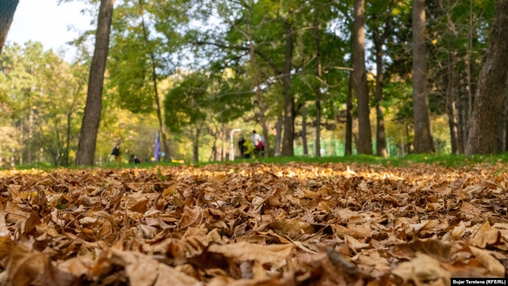 Gjethet e rëna nga një pemë kanë mbuluar tokën në një park në Prishtinë.