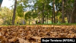 иллюстрациялык сүрөт.