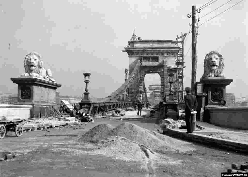 After being restored to their plinths in 1949 (pictured), the lions perched in place until the summer of 2021, when they were removed for a makeover as part of a major renovation to the bridge.