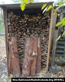 Iryna, like many others in Chernihiv, has been stockpiling wood for the cold winter months ahead.