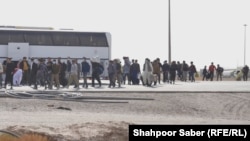 تعدادی از پناهجویان افغان که به تازه گی از ایران اخراج شده و به ولایت هرات آمده اند. 