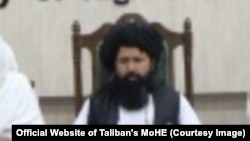 ندا محمد ندیم سرپرست وزارت تحصیلات عالی طالبان