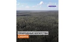 Людская нищета на фоне природного богатства