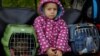 A girl sits between pet carriers as civilians evacuated from the Russian-controlled city of Kherson wait to board a bus heading to Crimea on October 22.