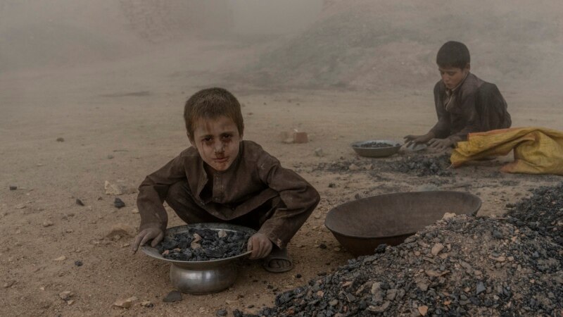 فوربز مجله: ۲۰۲۲ کال کې ۱۴ ميليونه افغاني ماشومانو بشري مرستو ته اړتيا درلوده