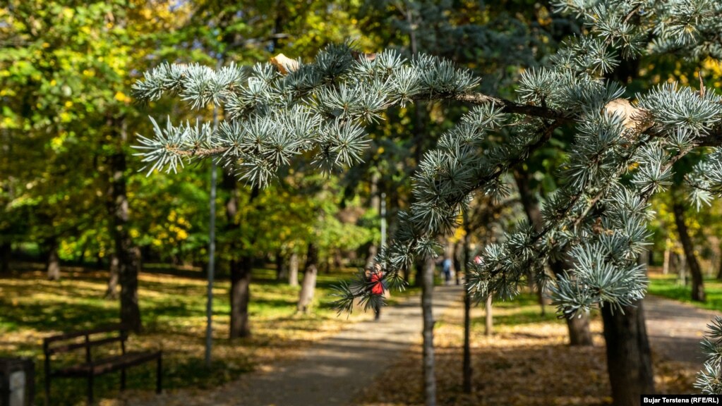 Një pemë halore e bën më të veçantë pamjen e gjethnajës në këtë park në vjeshtë.&nbsp;