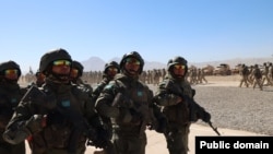 Казахстанские военные на учениях
