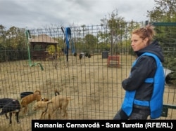 Gia este una dintre voluntarele care îi învață pe câini cum să urce scările, cum să se împrieteneacă cu viitoarele lor familii adoptive.