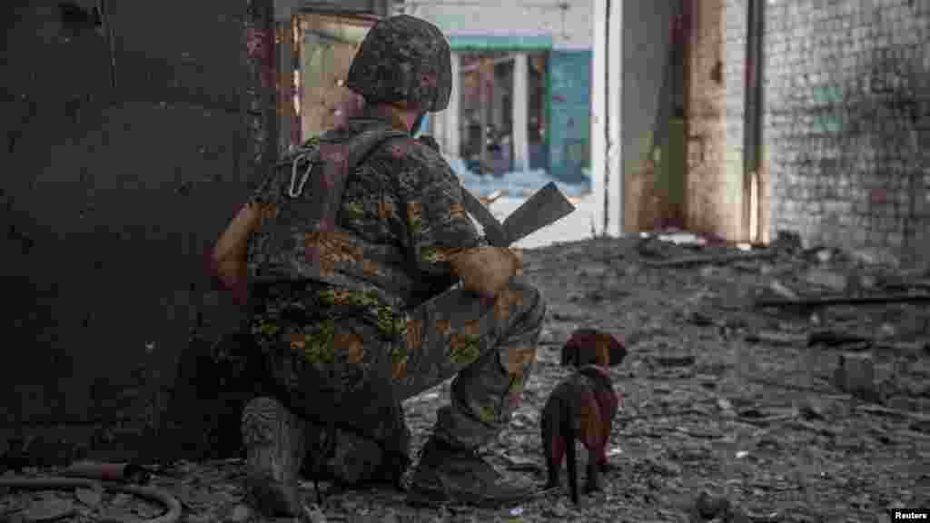 Egy ukrán katona kutyájával Szeverodonyeck város iparterületén 2022 nyarán
