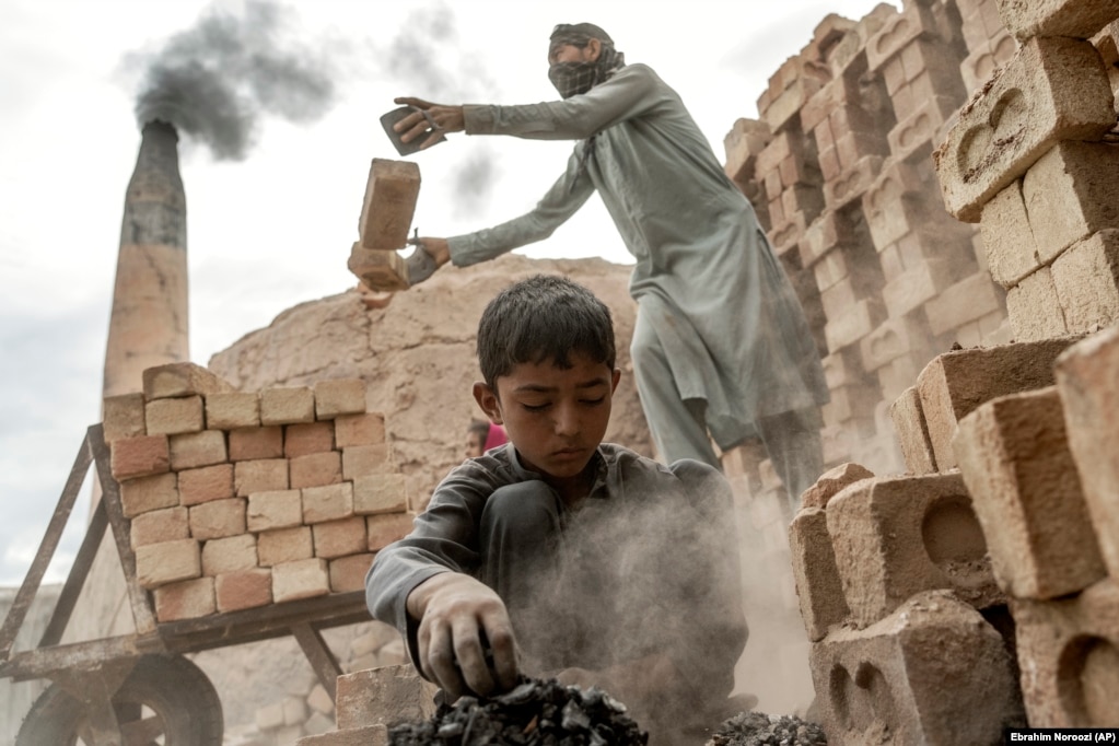 Rahim (nuk është në këtë foto) ka tre fëmijë që punojnë me të, të moshës nga 5 deri në 12 vjeç. Ai tha se nuk kishte zgjidhje. "Nuk ka rrugë tjetër", tha ai. "Si mund të mësojnë kur ne nuk kemi bukë për të ngrënë? Mbijetesa është më e rëndësishme".