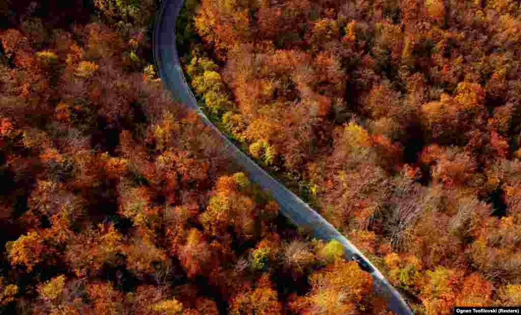 A car makes its way through a forest of trees with autumn foliage in Mavrovo, North Macedonia.&nbsp;