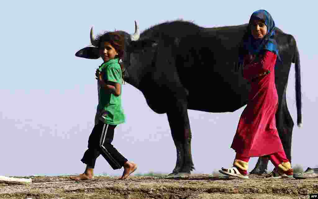 Iraqi girls play in the Chibayish marshes near the southern city of Nassiriyah. (AFP/Haidar Hamdani)