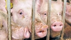 Наскільки український бізнес залежить від Росії?